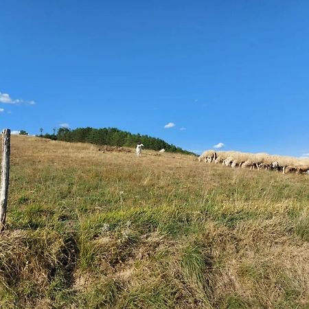 Bnb Bagno Di Bosco Γκούμπιο Εξωτερικό φωτογραφία