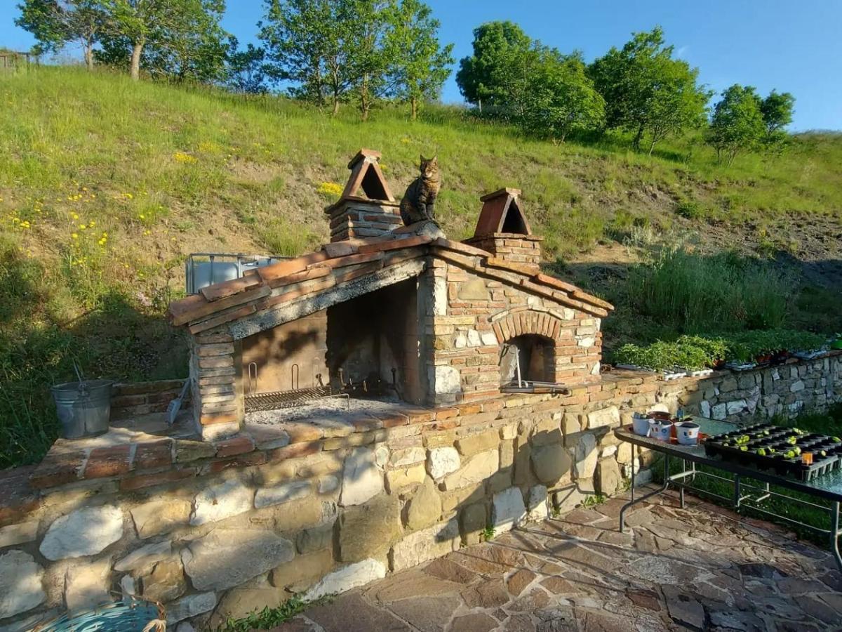 Bnb Bagno Di Bosco Γκούμπιο Εξωτερικό φωτογραφία