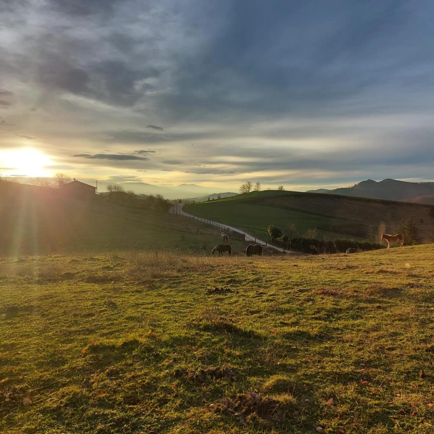 Bnb Bagno Di Bosco Γκούμπιο Εξωτερικό φωτογραφία