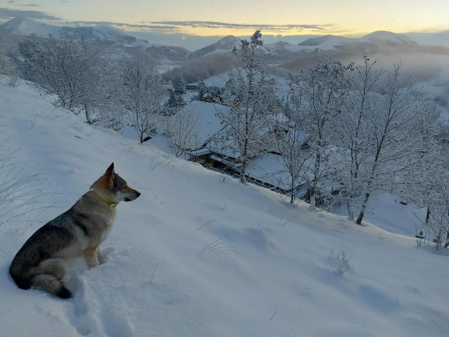 Bnb Bagno Di Bosco Γκούμπιο Εξωτερικό φωτογραφία